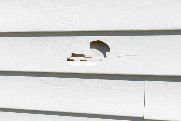 Trusted Poteet, TX Siding Installation Experts